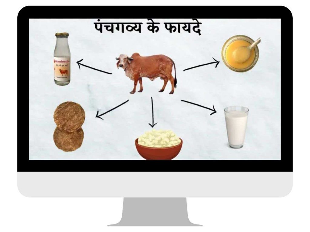 पंचगव्य क्या है