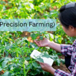 precision farming kyo karni chahiye