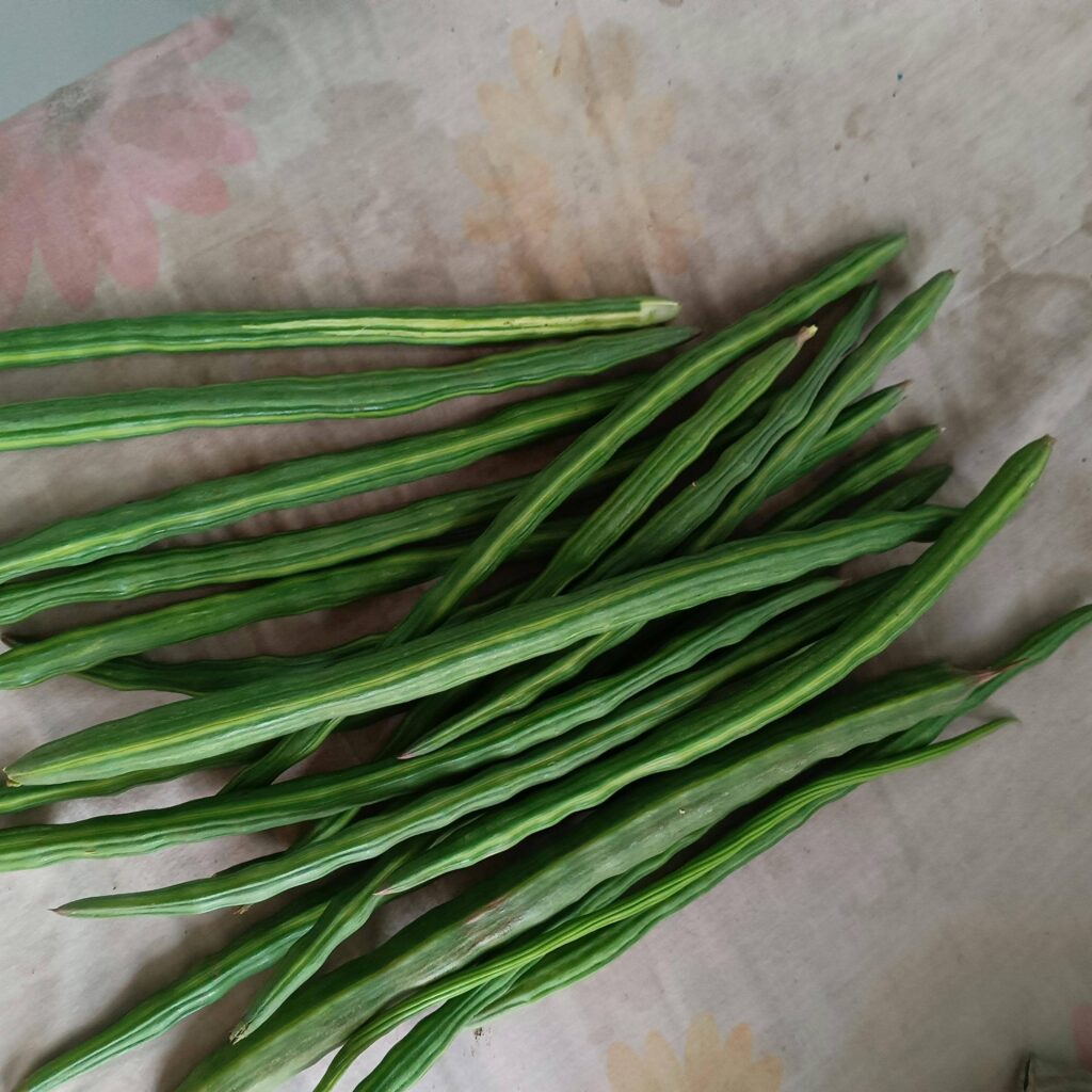 moringa ki kheti kaise kare